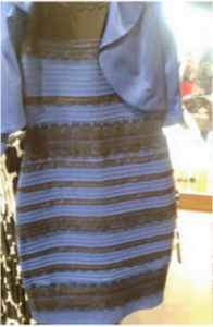 Not a black/blue dress